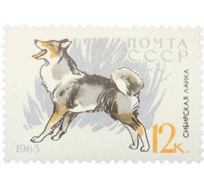 Почтовая марка 12 копеек 1965 года «Служебные и охотничьи собаки — Сибирская лайка» — Фото №1