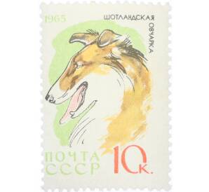 Почтовая марка 10 копеек 1965 года «Служебные и охотничьи собаки — Шотландская овчарка» — Фото №1