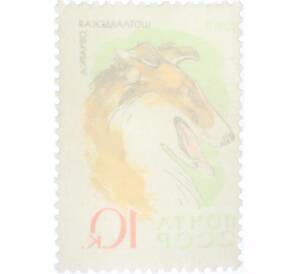 Почтовая марка 10 копеек 1965 года «Служебные и охотничьи собаки — Шотландская овчарка» — Фото №2