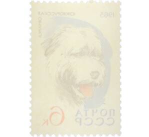 Почтовая марка 6 копеек 1965 года «Служебные и охотничьи собаки — Южнорусская овчарка» — Фото №2