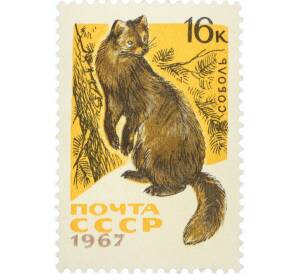 Почтовая марка 16 копеек 1967 года «Пушные промысловые звери — Соболь» — Фото №1
