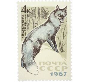 Почтовая марка 4 копейки 1967 года «Пушные промысловые звери — Серебристо-черная лиса» — Фото №1