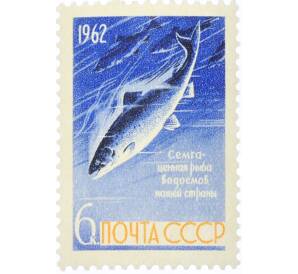 Почтовая марка 6 копеек 1962 года «Рыбы — Семга» — Фото №1