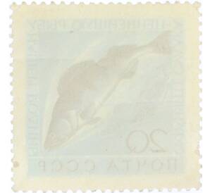 Почтовая марка 20 копеек 1962 года «Фауна СССР — Судак» — Фото №2