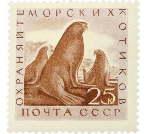 Почтовая марка 25 копеек 1962 года «Фауна СССР — Морские котики» — Фото №1