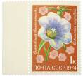 Почтовая марка 1 копейка 1974 года «Цветы альпийских лугов Средней Азии — Островския великолепная» (Артикул: K12-81773) — Фото №1