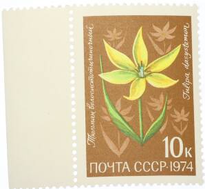 Почтовая марка 10 копеек 1974 года «Цветы альпийских лугов Средней Азии — Тюльпан волосистотычиночный» — Фото №1