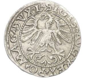 1/2 гроша 1563 года Литва — Фото №2