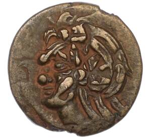 Тетрахалк Пантикапей — Фото №1