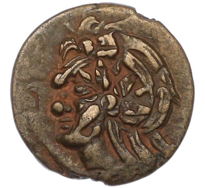 Монета Тетрахалк Пантикапей (Артикул: K2-0836) — Фото №1
