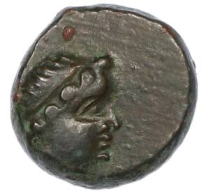 Тетрахалк 150-140 гг до н.э. Пантикапей — Перисад IV — Фото №1