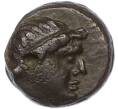 Монета Тетрахалк 150-140 гг до н.э. Пантикапей — Перисад IV (Артикул: K2-0838) — Фото №1