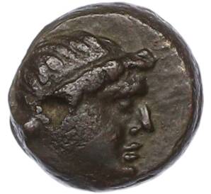 Обол Пантикапей — Фото №1