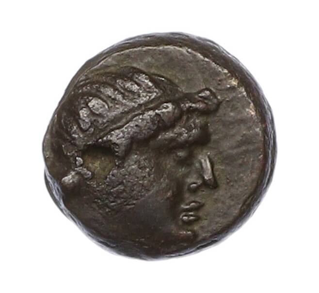 Монета Тетрахалк 150-140 гг до н.э. Пантикапей — Перисад IV (Артикул: K2-0838) — Фото №1