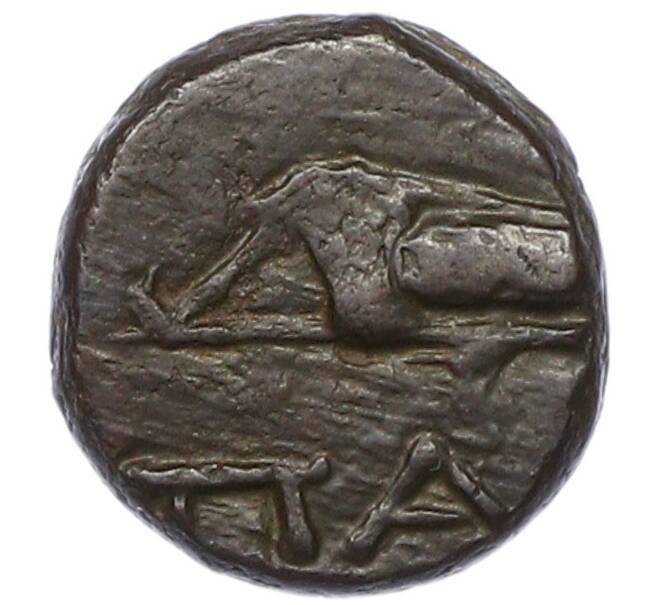 Монета Тетрахалк 150-140 гг до н.э. Пантикапей — Перисад IV (Артикул: K2-0839) — Фото №2