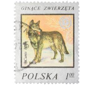 Почтовая марка 1 злотый 1977 года Польша «Охрана окружающей среды — Волк» — Фото №1