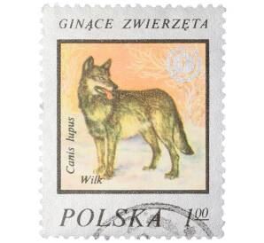 Почтовая марка 1 злотый 1977 года Польша «Охрана окружающей среды — Волк» — Фото №1