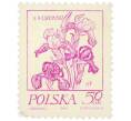 Почтовая марка 50 грошей 1974 года Польша «Растения в творчестве Станислава Выспяньского — Ирисы» (Артикул: K12-82022) — Фото №1