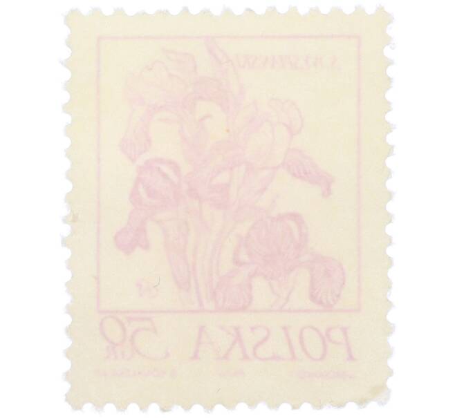 Почтовая марка 50 грошей 1974 года Польша «Растения в творчестве Станислава Выспяньского — Ирисы» (Артикул: K12-82022) — Фото №2