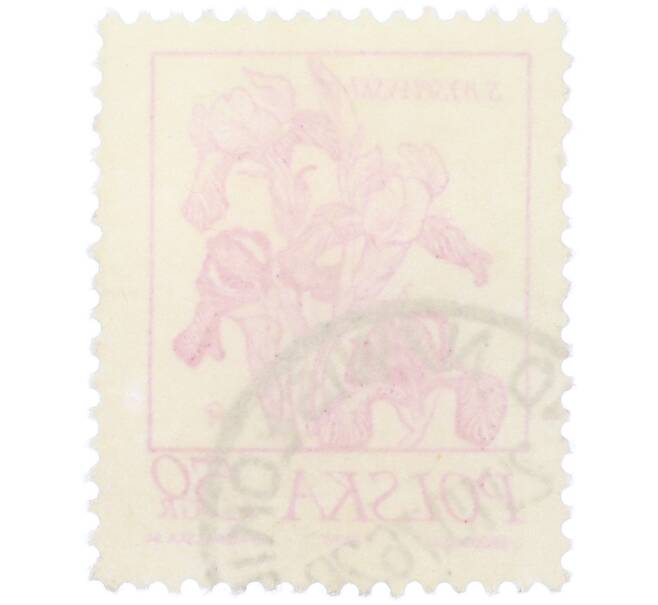 Почтовая марка 50 грошей 1974 года Польша «Растения в творчестве Станислава Выспяньского — Ирисы» (Артикул: K12-82023) — Фото №2