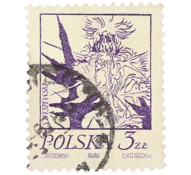 Почтовая марка 3 злотых 1974 года Польша «Растения в творчестве Станислава Выспяньского — Чертополох» (Артикул: K12-82025) — Фото №1