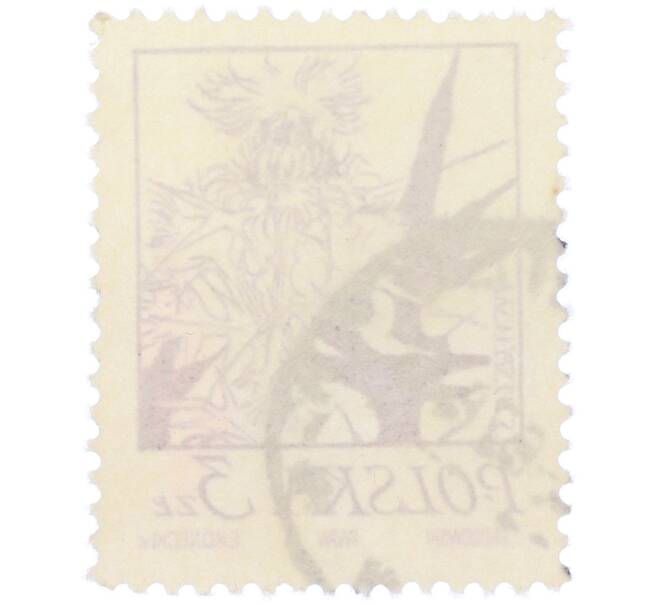 Почтовая марка 3 злотых 1974 года Польша «Растения в творчестве Станислава Выспяньского — Чертополох» (Артикул: K12-82025) — Фото №2