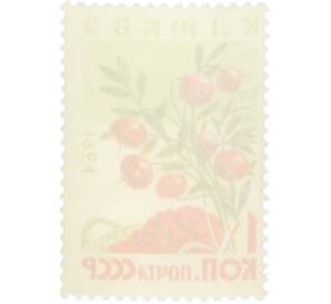 Почтовая марка 1 копейка 1964 года «Ягоды — Клюква» — Фото №2