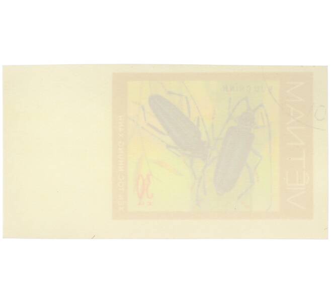 Почтовая марка 30 су 1977 года Вьетнам «Жуки-усачи — Усач вьетнамский» (Без перфорации) (Артикул: K12-82036) — Фото №2