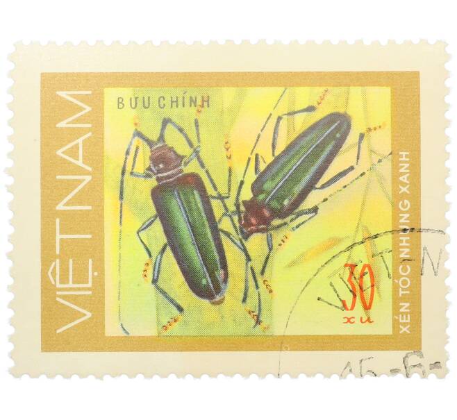 Почтовая марка 30 су 1977 года Вьетнам «Жуки-усачи — Усач вьетнамский» (Артикул: K12-82037) — Фото №1