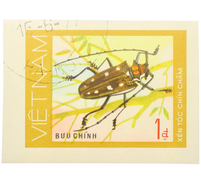 Почтовая марка 1 донг 1977 года Вьетнам «Жуки-усачи — Девятиточечный усач» (Без перфорации) (Артикул: K12-82044) — Фото №1