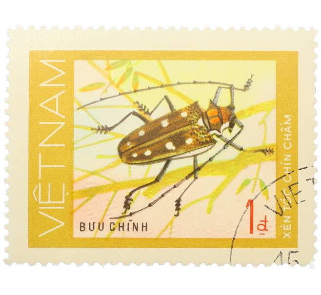 Почтовая марка 1 донг 1977 года Вьетнам «Жуки-усачи — Девятиточечный усач» (Артикул: K12-82045) — Фото №1