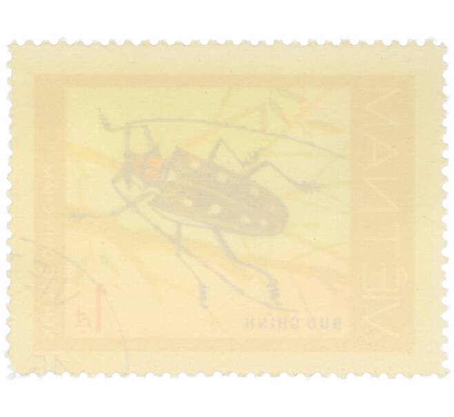 Почтовая марка 1 донг 1977 года Вьетнам «Жуки-усачи — Девятиточечный усач» (Артикул: K12-82045) — Фото №2