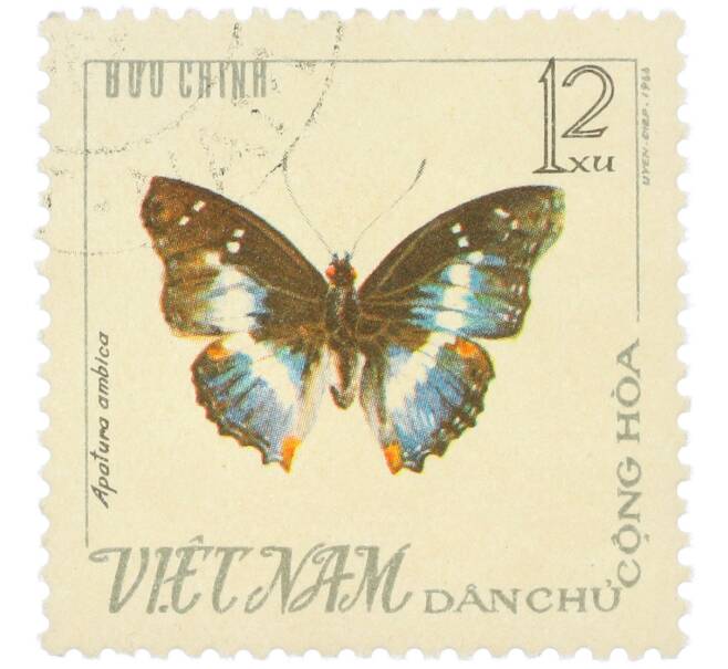 Почтовая марка 12 су 1965 года Северный Вьетнам (ДРВ) «Бабочки — Apatura ambica» (Артикул: K12-82046) — Фото №1