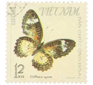 Почтовая марка 12 су 1966 года Северный Вьетнам (ДРВ) «Бабочки — Cethosia cyane» — Фото №1