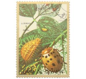 Почтовая марка 1 риял 1972 года Умм-эль-Кайвайн «Насекомые — Мексиканский фасолевый жук» (Надпись авиапочты) — Фото №1