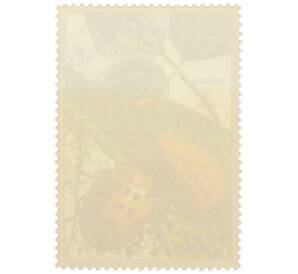 Почтовая марка 1 риял 1972 года Умм-эль-Кайвайн «Насекомые — Мексиканский фасолевый жук» (Надпись авиапочты) — Фото №2