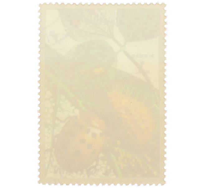 Почтовая марка 1 риял 1972 года Умм-эль-Кайвайн «Насекомые — Мексиканский фасолевый жук» (Надпись авиапочты) (Артикул: K12-82054) — Фото №2