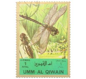 Почтовая марка 1 риял 1972 года Умм-эль-Кайвайн «Насекомые — Стрекоза» (Надпись авиапочты) — Фото №1