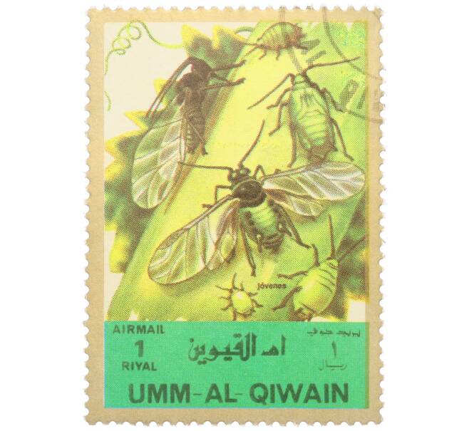 Почтовая марка 1 риял 1972 года Умм-эль-Кайвайн «Насекомые — Тля» (Надпись авиапочты) (Артикул: K12-82056) — Фото №1