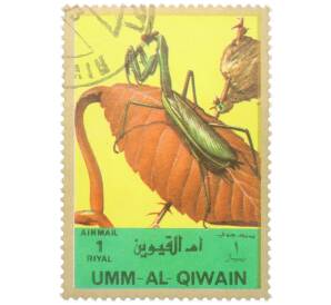 Почтовая марка 1 риял 1972 года Умм-эль-Кайвайн «Насекомые — Богомол» (Надпись авиапочты) — Фото №1