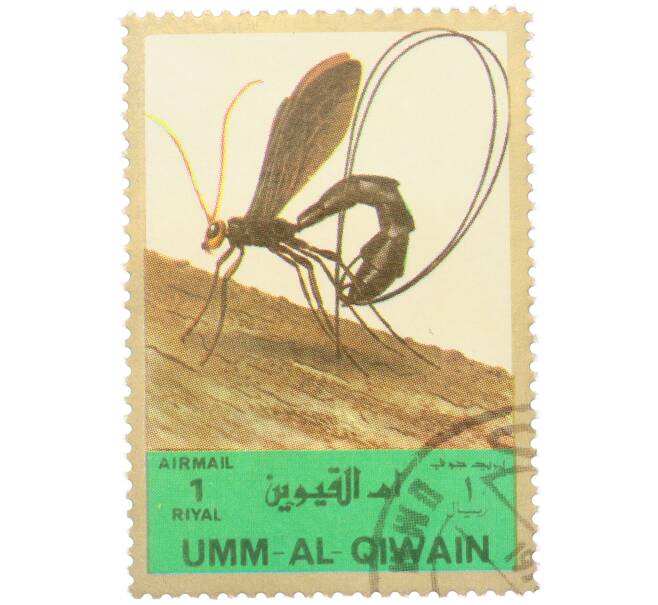 Почтовая марка 1 риял 1972 года Умм-эль-Кайвайн «Насекомые — Наездник» (Надпись авиапочты) (Артикул: K12-82058) — Фото №1