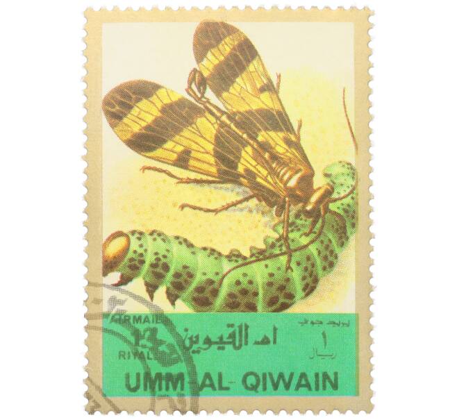 Почтовая марка 1 риял 1972 года Умм-эль-Кайвайн «Насекомые — Скорпионница» (Надпись авиапочты) (Артикул: K12-82059) — Фото №1