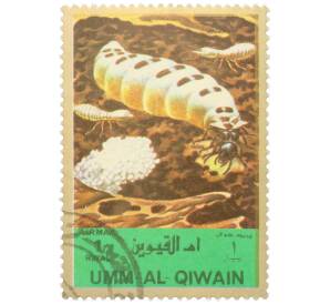 Почтовая марка 1 риял 1972 года Умм-эль-Кайвайн «Насекомые — Термиты» (Надпись авиапочты) — Фото №1