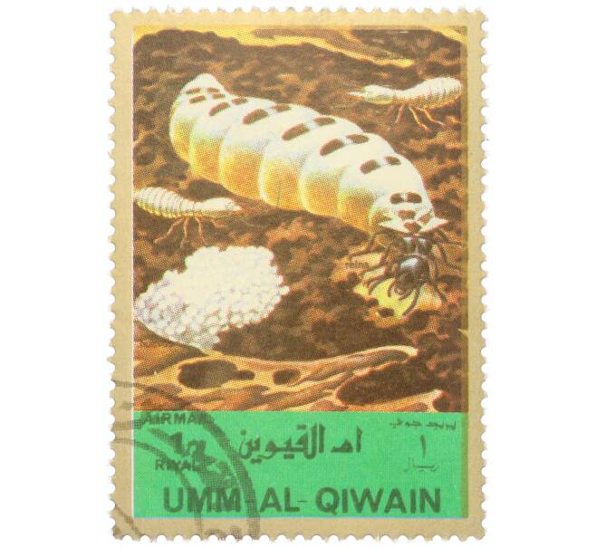Почтовая марка 1 риял 1972 года Умм-эль-Кайвайн «Насекомые — Термиты» (Надпись авиапочты) (Артикул: K12-82060) — Фото №1