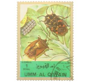 Почтовая марка 1 риял 1972 года Умм-эль-Кайвайн «Насекомые — Клоп-щитник» (Надпись авиапочты) — Фото №1