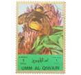 Почтовая марка 1 риял 1972 года Умм-эль-Кайвайн «Насекомые — Пчела» (Надпись авиапочты) (Артикул: K12-82062) — Фото №1