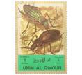 Почтовая марка 1 риял 1972 года Умм-эль-Кайвайн «Насекомые — Жужелица великолепная» (Надпись авиапочты) (Артикул: K12-82063) — Фото №1