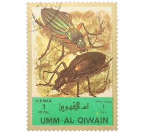 Почтовая марка 1 риял 1972 года Умм-эль-Кайвайн «Насекомые — Жужелица великолепная» (Надпись авиапочты) — Фото №1