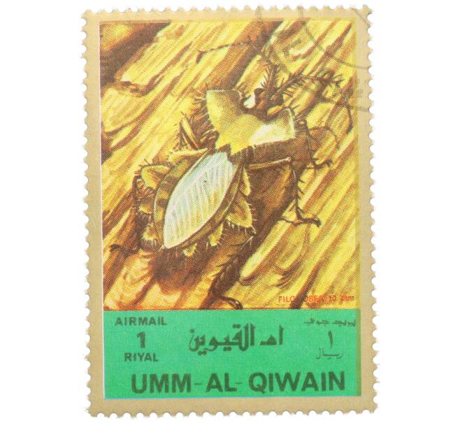 Почтовая марка 1 риял 1972 года Умм-эль-Кайвайн «Насекомые — Клоп-хищнец» (Надпись авиапочты) (Артикул: K12-82064) — Фото №1