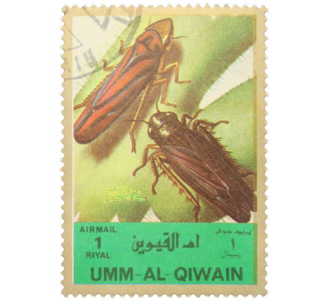Почтовая марка 1 риял 1972 года Умм-эль-Кайвайн «Насекомые — Цикадка» (Надпись авиапочты) (Артикул: K12-82065) — Фото №1
